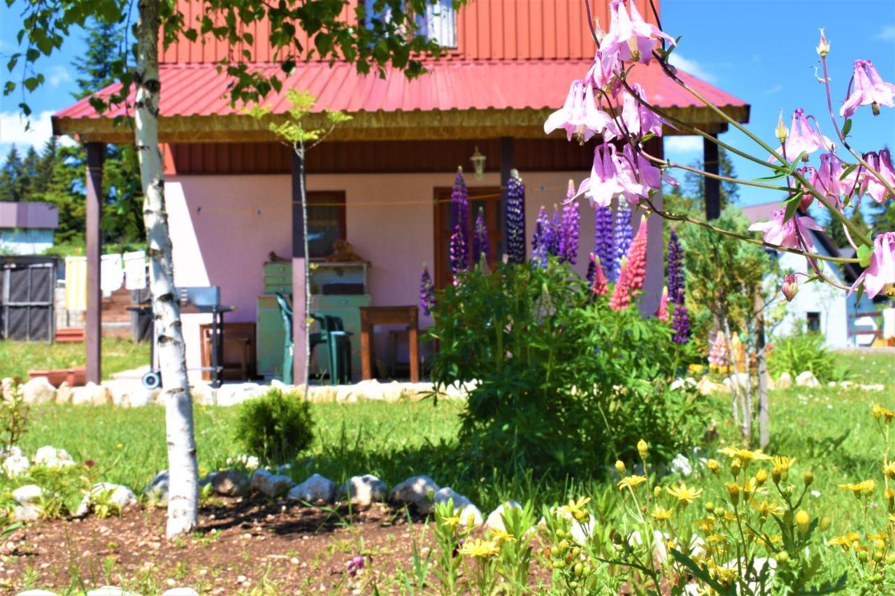 Sepic Accommodation Žabljak Exterior foto