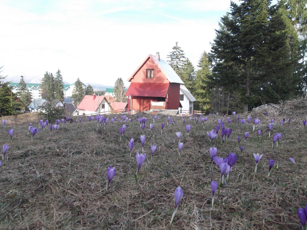 Sepic Accommodation Žabljak Exterior foto