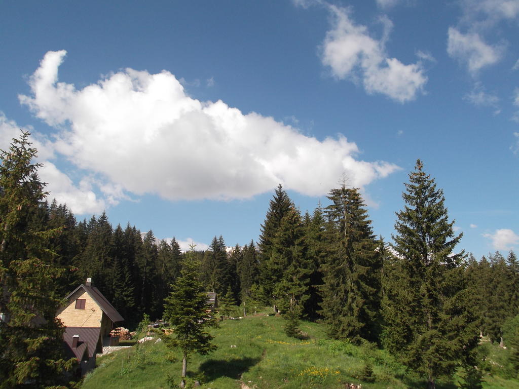 Sepic Accommodation Žabljak Habitación foto
